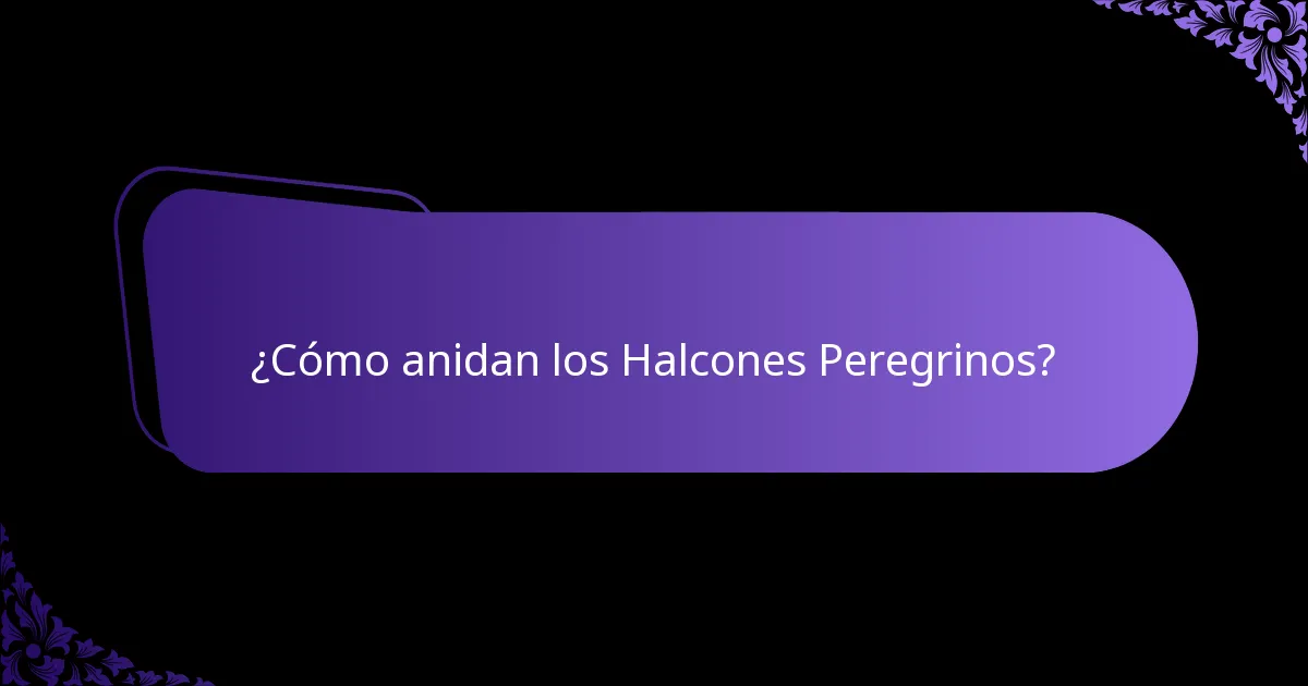 ¿Dónde vive el Halcón Peregrino?