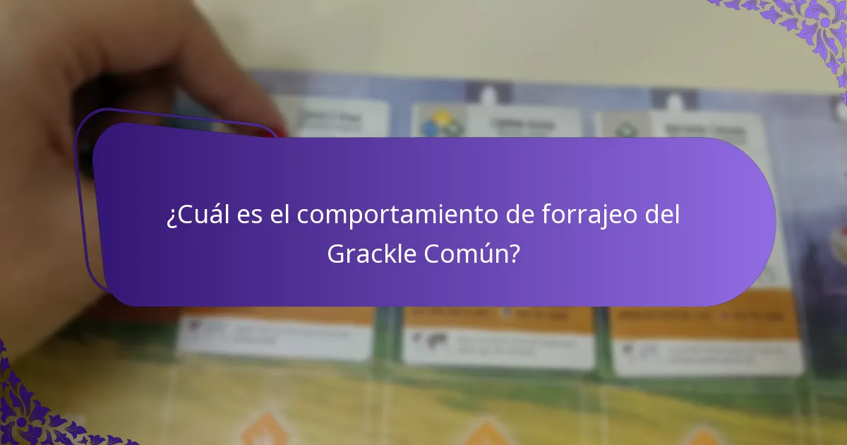 ¿Cuáles son los hábitos de reproducción del Grackle Común?