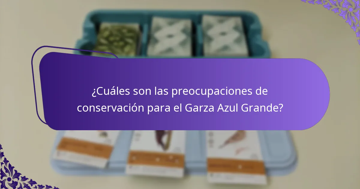 ¿Cuáles son las preocupaciones de conservación para el Garza Azul Grande?