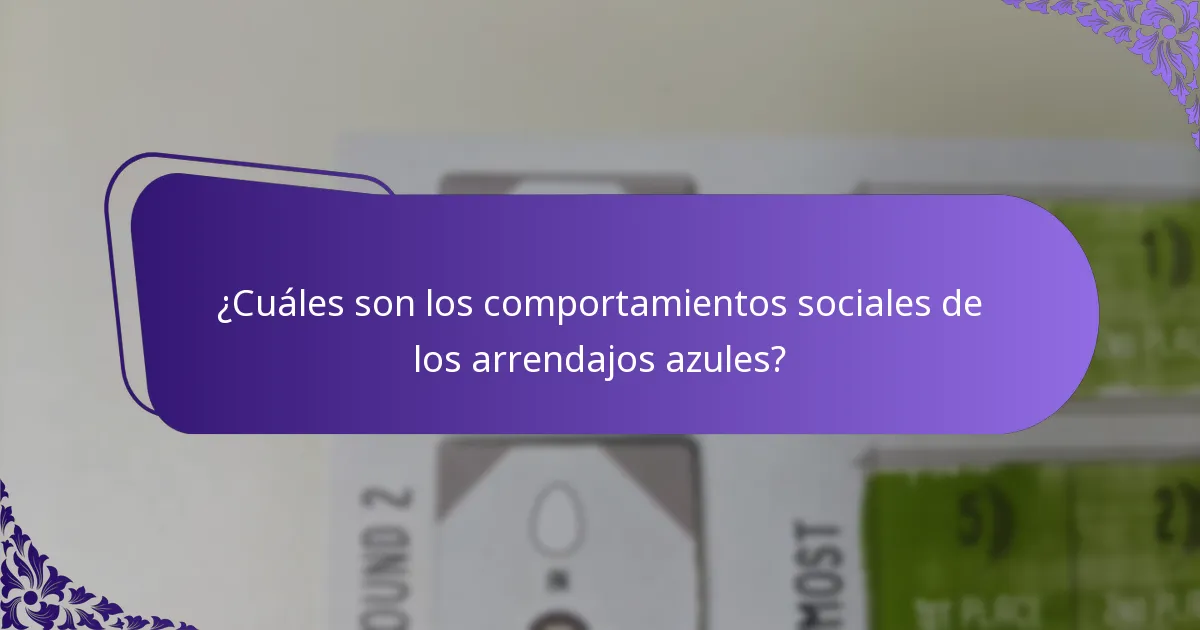 ¿Cómo interactúan los arrendajos azules con su entorno?