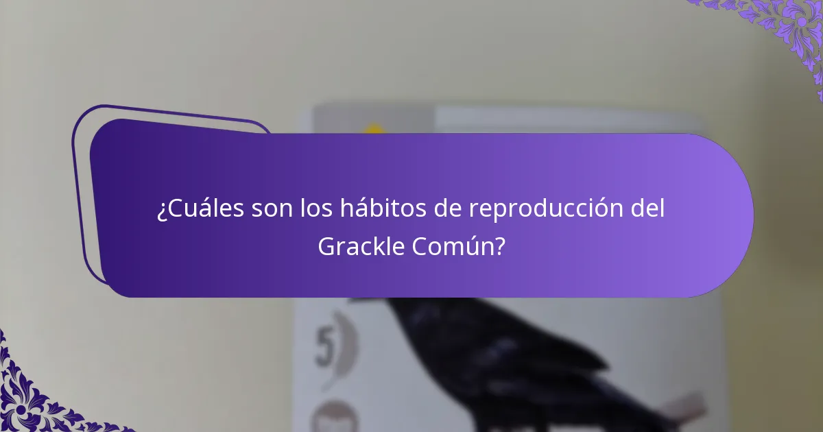 ¿Cómo se adaptan los Grackles Comunes a los cambios ambientales?